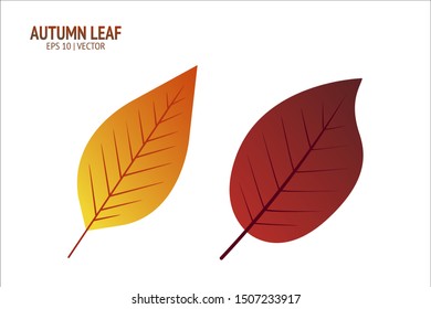 Autumn leaves set. Isolated leaf vector icon on white background. Colorful flat illustration can use for banner, flyer, textile, print, surface, fabric design