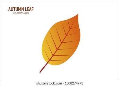 Autumn leaves set. Isolated leaf vector icon on white background. Colorful flat illustration can use for banner, flyer, textile, print, surface, fabric design