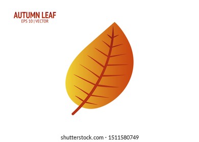 Autumn leaves set. Isolated leaf vector icon on white background. Colorful flat illustration can use for banner, flyer, textile, print, surface, fabric design