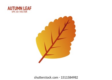 Autumn leaves set. Isolated leaf vector icon on white background. Colorful flat illustration can use for banner, flyer, textile, print, surface, fabric design