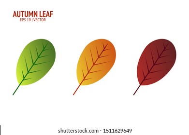 Autumn leaves set. Isolated leaf vector icon on white background. Colorful flat illustration can use for banner, flyer, textile, print, surface, fabric design
