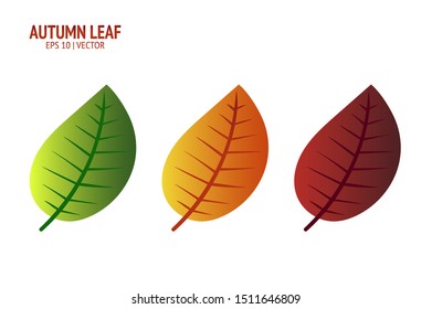 Autumn leaves set. Isolated leaf vector icon on white background. Colorful flat illustration collection can use for banner, flyer, textile, print