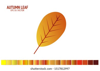 Autumn leaves set. Isolated leaf vector icon on white background. Colorful flat illustration can use for banner, flyer, textile, print, surface, fabric design