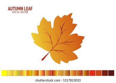 Autumn leaves set. Isolated leaf vector icon on white background. Colorful flat illustration can use for banner, flyer, textile, print, surface, fabric design