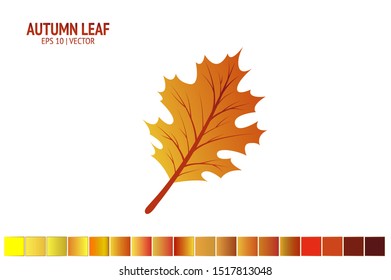 Autumn leaves set. Isolated leaf vector icon on white background. Colorful flat illustration can use for banner, flyer, textile, print, surface, fabric design