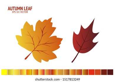 Autumn leaves set. Isolated leaf vector icon on white background. Colorful flat illustration can use for banner, flyer, textile, print, surface, fabric design