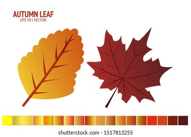 Autumn leaves set. Isolated leaf vector icon on white background. Colorful flat illustration can use for banner, flyer, textile, print, surface, fabric design