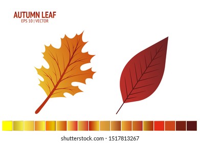 Autumn leaves set. Isolated leaf vector icon on white background. Colorful flat illustration can use for banner, flyer, textile, print, surface, fabric design