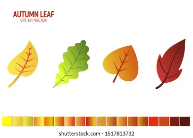 Autumn leaves set. Isolated leaf vector icon on white background. Colorful flat illustration can use for banner, flyer, textile, print, surface, fabric design