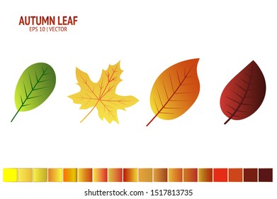 Autumn leaves set. Isolated leaf vector icon on white background. Colorful flat illustration can use for banner, flyer, textile, print, surface, fabric design