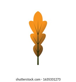 Autumn leaves set. Isolated leaf vector icon on white background. Colorful flat illustration can use for banner, flyer, textile, print, surface, fabric design