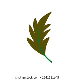 Autumn leaves set. Isolated leaf vector icon on white background. Colorful flat illustration can use for banner, flyer, textile, print, surface, fabric design