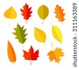 autumn leaf icon