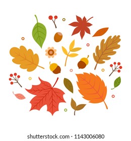 Autumn leaves set isolated on white background