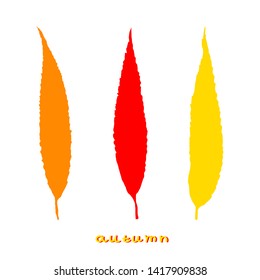 Autumn leaves set, isolated on white background.