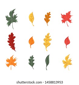 autumn leaves set, isolated on white background. simple cartoon flat style