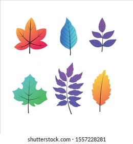 autumn leaves set, isolated on white background. simple cartoon flat style, vector illustration.