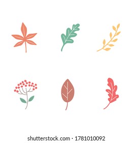 Autumn leaves set isolated on white