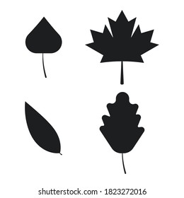 Las hojas de otoño se aíslan sobre fondo blanco. Ilustración vectorial. Eps 10