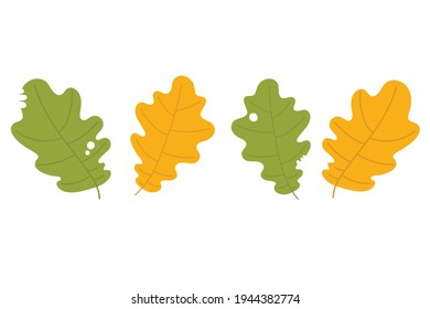 Autumn leaves set, isolated on white background. Simple cartoon flat style. Isolated vector illustration. Design for stickers, logo, web and mobile app.