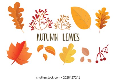 Autumn Leaves Set, Isolated On White Background. Leaves With Fade Texture, Vector Illustration. Good For Social Media, Promotional Materials, Ads, Email Marketing.
