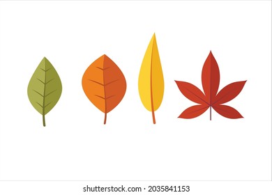 Autumn leaves set, isolated on white background. Simple cartoon flat style. Isolated vector illustration. Design for stickers, logo, web and mobile app