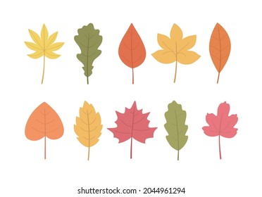 Autumn leaves set, isolated on white background. Hand-drawn vector illustration.