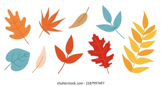 Hojas de otoño aisladas en fondo blanco