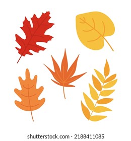 Autumn leaves set isolated on white background