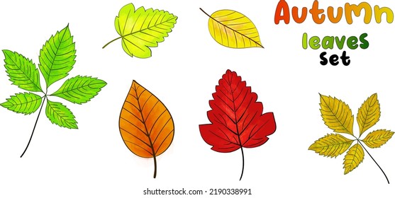 Autumn leaves set isolated on a white background. Simple cartoon flat style. orange, yellow, green and red colorful