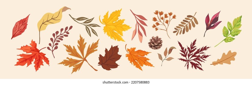 Autumn leaves set, isolated on white background. Cartoon flat style. Isolated vector illustration. Design for stickers, logo, web and mobile app.