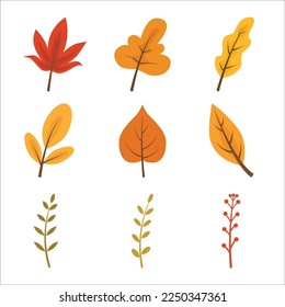 Autumn leaves set, isolated on white background. Simple cartoon flat style, vector illustration.