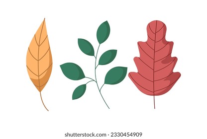 Autumn leaves set, isolated on white background. Set of colorful autumn leaves. Set of yellow, green and red leaves. Autumn leaf design element. Objects for design, cards, banners, flyer