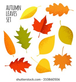 autumn leaves set, isolated on white background. retro halftone style, vector illustration.