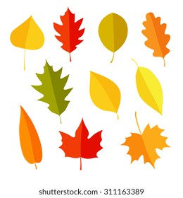 Autumn leaves set, isolated on white background. Simple cartoon flat style. Isolated vector illustration. Design for stickers, logo, web and mobile app.