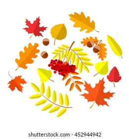 autumn leaves set, isolated on white background. simple cartoon flat style, vector illustration.