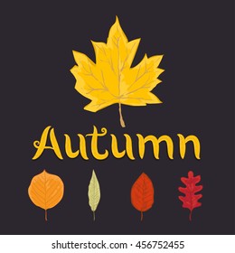 autumn leaves set, isolated on brown background. simple cartoon flat style, vector illustration.