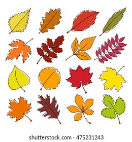 Autumn leaves set, isolated on white background. Cartoon flat style, vector illustration.