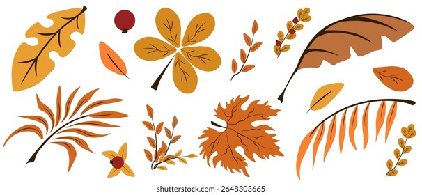 Autumn leaves set isolated transparent background. Vector illustration of colored dry Autumn leaves includes palm tree, chestnut tree, maple tree. Perfect Autumn design element template design. EPS 10