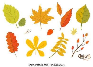 Autumn Leaves Set Isolated Vector Illustration

