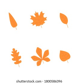 autumn leaves set. leaf collection