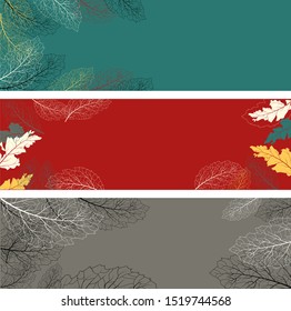 Autumn leaves. Set leaf. Vector tree collection. Vector banner. Modern poster with colorful autumn leaves on light background for web backdrop design