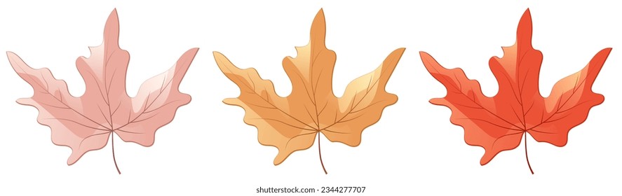 Autumn leaves. Set of maple leaves. Yellow, red and green maple leaves. Vector clipart.