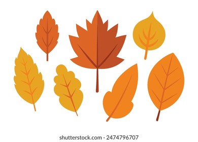 Autumn Leaves set, minimal flat illustration on white background.
