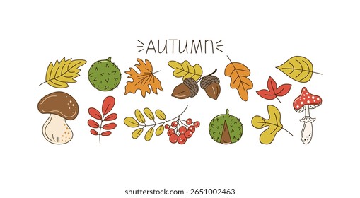 Folhas de outono postas. Cogumelo, mosca agárica, bolotas, bagas. Banner, letra, texto. Outono, colheita. Rabiscos, desenhos, esboço. Folha de carvalho, ramo de rowan. Ilustração botânica natural. Queda de folhas.