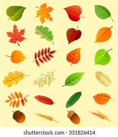 Autumn leaves are set Nature symbol. Vector collection isolated on a yellow background. Autumn icon set. Fall leaves.