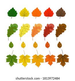 Hojas de otoño con hojas de roble, hojas de arce aisladas en fondo blanco