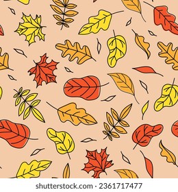 Autumn Leaves Set pattern, background with leaves.   Leaves flying. Doodle style drawings. Color vector illustration. White isolated background.