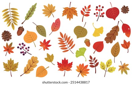 Hojas de otoño. Un conjunto de ilustraciones de plantas.