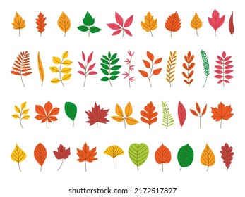 Autumn leaves set. Red maple leaf, fall season foliage forest icons. Cartoon flat colorful yellow and orange decorative branches, classy vector clipart